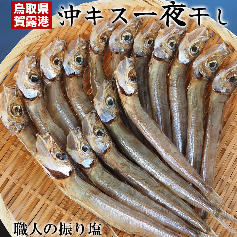 （昔ながらの振り塩製法）キス 一夜干し 干物 500g 山陰 鳥取県産 沖きす ニギス 冷凍 日本海 鳥取港 産地直送 藪中商店 きす ひもの【送料無料】