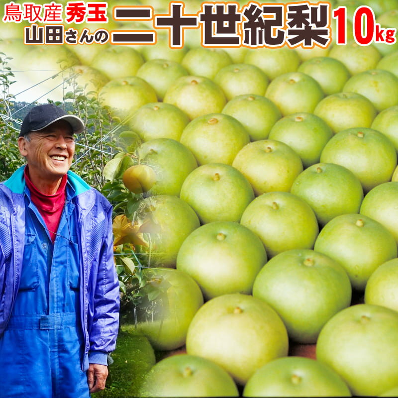 ＼梨王国 鳥取から直送／【送料無料】二十世紀梨（20世紀梨）梨 鳥取産 10kg 進物用 秀玉（32玉相当）Lサイズ なし 7000312