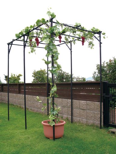 DAIMパーゴラ果物棚セット幅120cm奥行180cm高さ180cm藤棚葡萄棚ガーデンガーデニング棚アーチ園芸キウ..