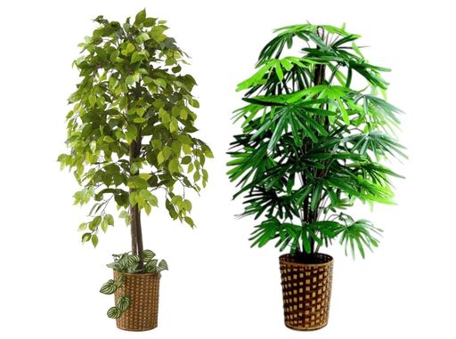 ビータ(Vita)ベンジャミン観音竹ベンジャミン:直径幅70x高さ160cm/観音竹:直径幅60x高さ100cm人工観葉植物2本セットフェイクグリーン大型竹カゴ付鉢付のびのびとした自然な枝ぶりのベンジャ…