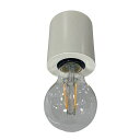 大光電機DAIKOLED小型シーリングライトランプ付LEDフィラメント電球2.5W(E26)280lmキャンドル色2200KRa83白熱灯25W相当天井付・壁付兼用電気工事必要ホワイトDCL-41806Y
