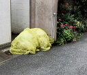 SEASONS厚手カラスよけネットゴミネット1.5x1.5m45L対応(約3~4袋収納)4mm超細網目おもり&3mロープ付き設置10秒風耐性UP鳥/カラス/鳩/...