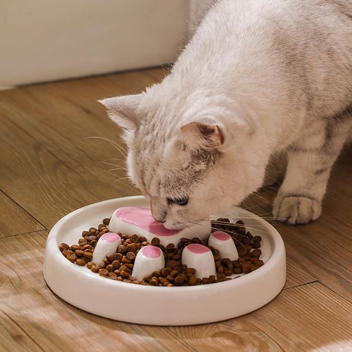 犬猫早食い防止食器陶器給食器独自の凹凸エサ皿スローフード小型犬早食いペット用給食器吐き戻しダイエ..