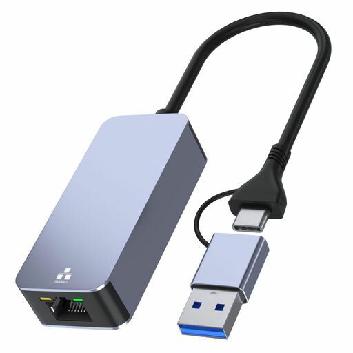 USBLAN変換アダプター2IN1有線LANアダプターNintendoswitch対応USBType-AとType-C両方使える1000Mbps高速イーサネットアダプタType-CとType-Aイーサネットコンバータ