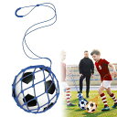 HanaHaulボールネットサッカーボール入れサッカーボールネットリフティング練習サッカートレーニング用ボールバッグ子供用(持ち手80cm)学校部活試合練習収納サッカー/バレーボール/バス…