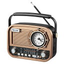 GELIELIM携帯ラジオRADIOFM/AM/SW短波BLUETOO...(2)
