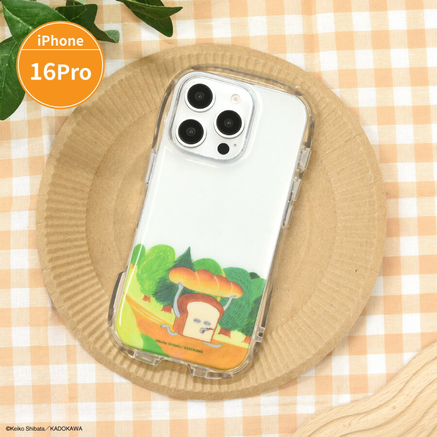 ڸ7ȯͽꡡѥɤܤ iPhone16 Pro б ꥹ륯ꥢ եȥ ޥ  С ...