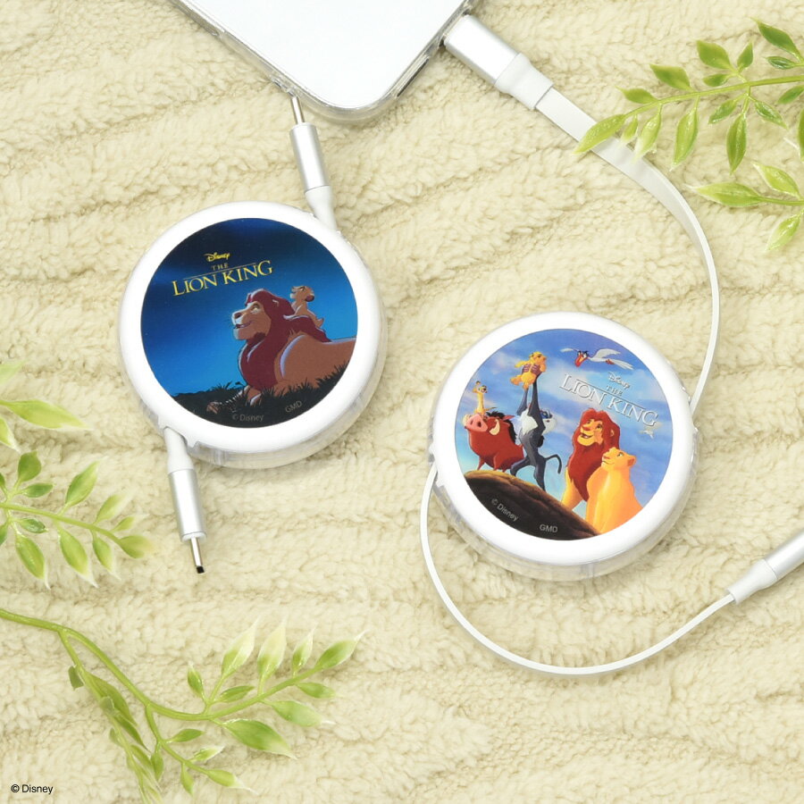 ڸۥǥˡ饯  PD60W б USB2.0 ꡼뼰 Type-C ֥ Disney 饤󥭥  ...