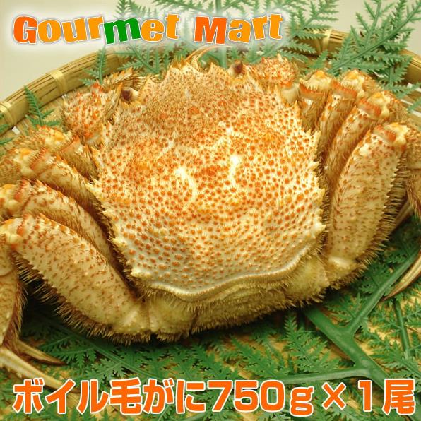 ボイル毛がに 750g×1尾 特大 ジャンボ 毛蟹 毛ガニ 姿 カニ通販 道産品 北海道産 お歳暮 ギフト