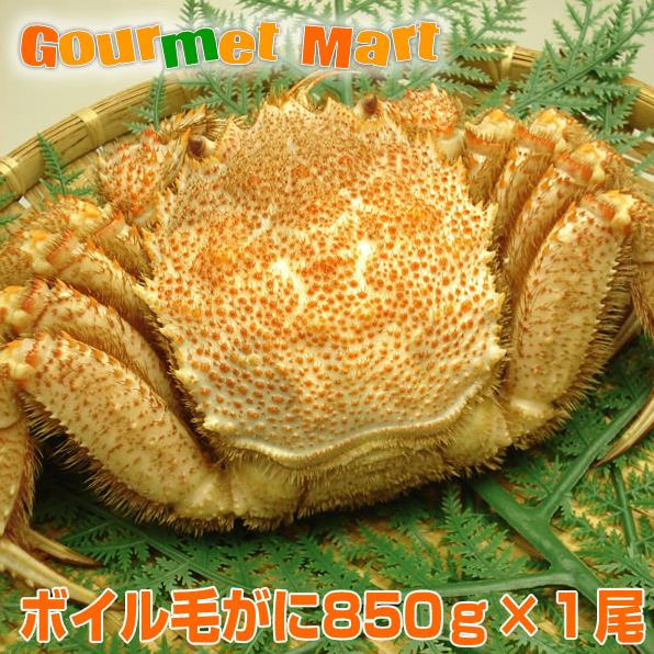 翌々日お届け対応！ボイル毛がに 850g×1尾 特大 ジャンボ 毛蟹 毛ガニ 姿 カニ通販 道産品 北海道産 父の日 ギフト