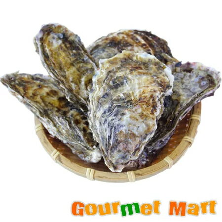 【送料無料】マルえもん(2Lサイズ)10個セット 北海道産 牡蠣 カキ 殻付き 生食 名産品 道産品 北海道直送 通販 通信販売 お取り寄せ おみやげ お土産 土産 母の日 ギフト