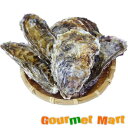【送料無料】マルえもん(3Lサイズ)10個セット 北海道産 牡蠣 カキ 殻付き 生食 名産品 道産品 北海道直送 通販 通信販売 お取り寄せ おみやげ お土産 ...