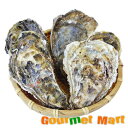 【送料無料】カキえもん(2Lサイズ)20個セット 北海道産 牡蠣 カキ 殻付き 生食 名産品 道産品 北海道直送 通販 通信販売 お取り寄せ おみやげ お土産 ...