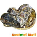 【送料無料】弁天かき A2(Mサイズ)10個セット 北海道産 牡蠣 カキ 殻付き 生食 名産品 道産品 北海道直送 通販 通信販売 お取り寄せ おみやげ お土産...