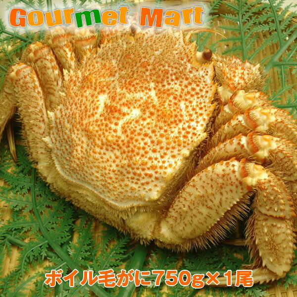 かにのマルマサ カニ あす楽対応！ボイル毛がに 750g×1尾 特大 ジャンボ 毛蟹 毛ガニ 姿 カニ通販 道産品 北海道産 母の日 ギフト あす楽対応