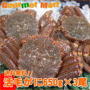 活毛蟹専門店の味!贈り物ギフトに最適!鮮度抜群新鮮毛がにを航空便で直送!2012お中元ギフト送料無料 北海道産 活毛ガニ650g×3尾 期間限定激安セール!濃厚かに味噌!えりも/釧路/稚内/網走/根室など旬なカニを北海道直送!【楽ギフ_のし宛書】
