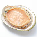 商品画像2:【送料無料】あわび Lサイズ 1kg 1箱12個入り 殻つきお刺身用アワビ 高級料亭でも使用する新鮮な殻付きあわび!【あわび アワビ 鮑 お造り バター焼き ステーキ おせち 翡翠の瞳 貝柱 築地 寿司 海鮮 ギフト】