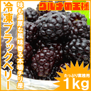 冷凍ブラックベリー 1kg 500g×2パック 無添加 弾けるブラックベリーをたっぷりと!【冷凍ブラックベリー 完熟ブラックベリー 冷凍フルーツ 冷凍デザート 冷凍食品 業務用 ヨナナス スムージー レシピ】【楽ギフ_のし】r