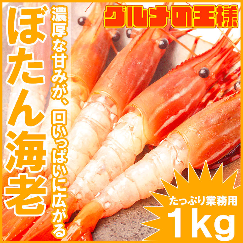 ぼたん海老 業務用1kg お刺身用ボタン海老 希少な特大。Lサイズ!大きくトロけるボタン海老は甘みが違う。 箱入りで豪華ギフトにも最適【ぼたんえび ぼたんエビ ボタンエビ ボタンえび バーベキュー ギフト レシピ】【楽ギフ_のし】r
