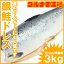 銀鮭ドレス 生 甘口 2.5〜3kg前後 頭を落とした1尾分!カマもハラスもあります【サーモン チリ産 鮭 しゃけ さけ 業務用 メガ盛り バーベキュー レシピ】【楽ギフ_のし】r