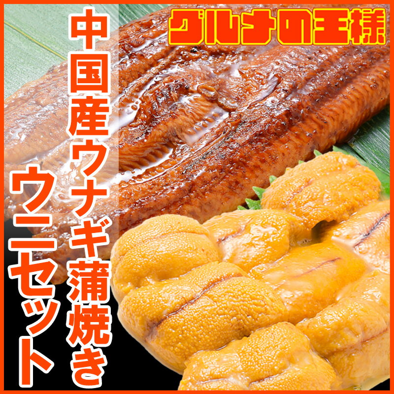 うにうなぎセット ＜梅＞ 超特大！うなぎ蒲焼き 平均330g前後×2尾 生ウニ 100g タレ付き 柔らかうなぎと生ウニの贅沢セット うなぎ ウナギ 鰻 うな丼 うな重 ひつまぶし 土用の丑 ウニ うに ギフト 築地市場 豊洲市場 おせち 単品おせち