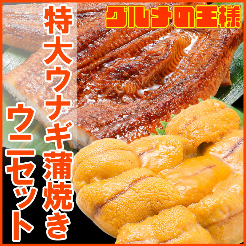 うにうなぎセット ＜松＞ 超特大国産うなぎ蒲焼き 平均250g前後×2尾 生ウニ 100g タレ付き 柔らかうなぎと生ウニの贅沢セット うなぎ ウナギ 鰻 うな丼 うな重 ひつまぶし 土用の丑 ウニ うに ギフト 築地市場 豊洲市場 おせち 単品おせち