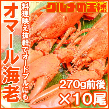 【送料無料】オマール海老 ロブスター 冷凍重量270g前後×10尾 肉厚な高級ボイルロブスター【ロブスター】【オマールエビ】【オマール海老】【オマールロブスター 伊勢海老 伊勢えび】【バーベキュー】【ギフト】【レシピ】【smtb-T】