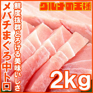 メバチマグロ 中トロ 2kg 築地の極上。王様ブランドまぐろ とろける美味いしさで人気ダントツ1番は中トロ【鮪 まぐろ マグロ メバチまぐろ めばちまぐろ 目鉢まぐろ 築地 レシピ ギフト】r