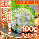 送料無料 生しらす 生シラス 300g 100g×3パック 5〜6人前 超新鮮な無添加の国産天然生しらす！極上の生しらす丼をご家庭で。【冷凍生しらす 生シラス丼 駿河湾産 江ノ島 鎌倉 静岡産】