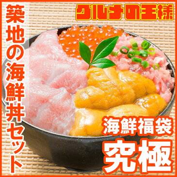 【送料無料】築地の海鮮丼セット 究極 約2杯分 本マグロ大トロ特盛り200g＆無添加生うに＆北海道産イクラ＆王様のネギトロ。通が唸る本マグロを極める。【本鮪 ギフト 海鮮福袋 詰め合わせ 寿司 刺身】【smtb-T】