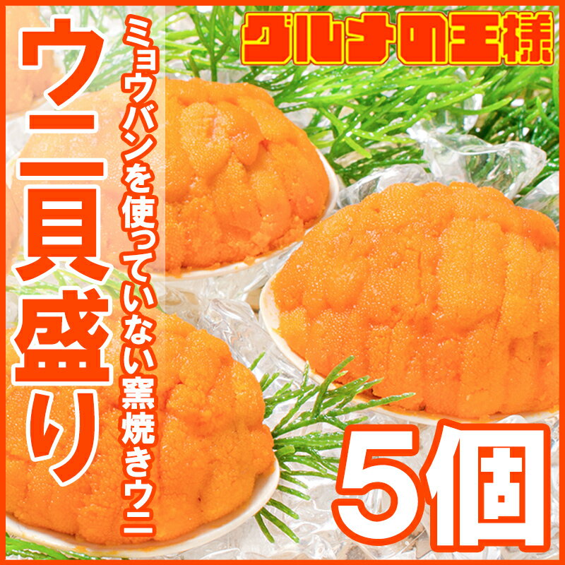 うに貝盛り 40g×5個【無添加 うに貝焼き 貝焼きうに ウニ貝盛り 焼きうに 焼きウニ 焼き雲丹 ばふんうに むらさきうに バフンウニ ムラサキウニ うに ウニ 中国産 築地市場 豊洲市場 ギフト】rn