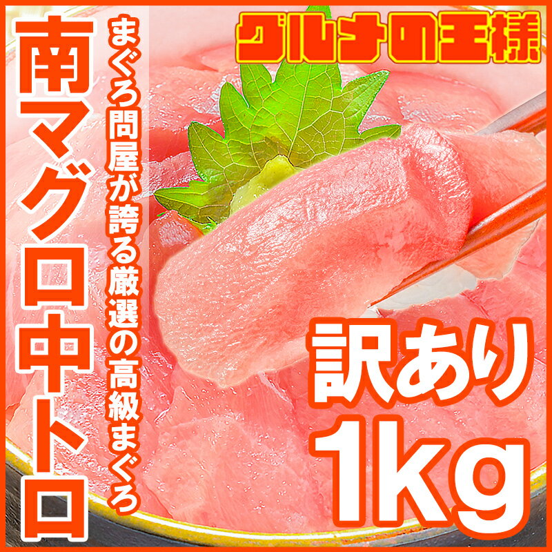 すぐる　1枚いか姿焼き　チーズ入り　×10