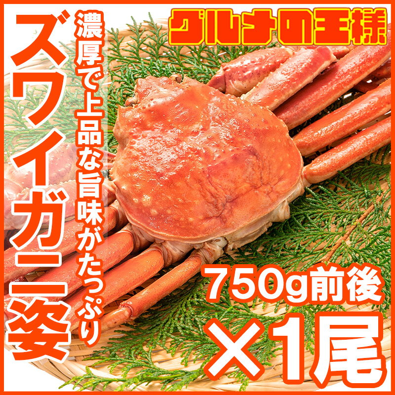 送料無料 ズワイガニ 750g前後×1尾 冷凍ゆでがに 本ズワイガニ 解凍するだけでOK！ボイル冷凍 ズワイ蟹【ずわいがに かに カニ 蟹 ずわい蟹 豊洲市場 かに鍋 焼きガニ ギフト】