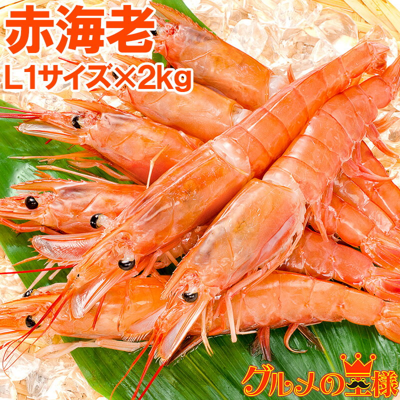 送料無料 赤海老 2kg 超特大 L1 20〜40