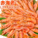 赤海老 2kg 特大 L2 40〜60尾 業務用 1