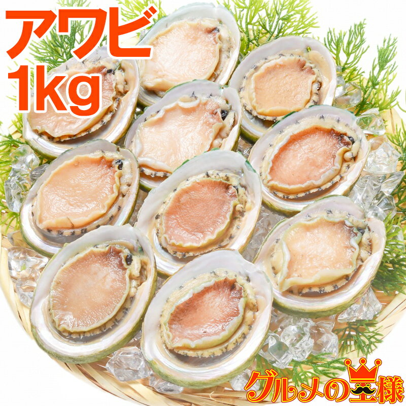 送料無料 あわび Lサイズ 1kg 1箱12個入り 殻つきお刺...