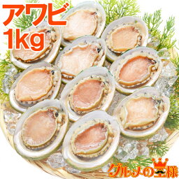 送料無料 あわび Lサイズ 1kg 1箱12個入り 殻つきお刺身用アワビ 高級料亭でも使用する新鮮な殻付きあわび アワビ 鮑 お造り バター焼き ステーキ おせち 翡翠の瞳 貝柱 寿司 海鮮 築地市場 豊洲市場 おせち 単品おせち ギフト