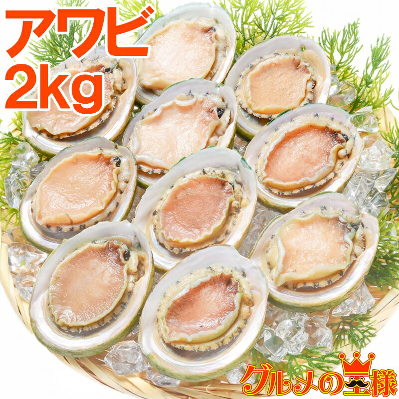 送料無料 あわび アワビ 鮑 Lサイズ 2kg 合計24個 1箱12個入り 殻つきお刺身用アワビ 高級料亭でも使用する新鮮な殻付きあわび お造り バター焼き ステーキ おせち 翡翠の瞳 貝柱 寿司 築地市場 豊洲市場 おせち 単品おせち ギフト