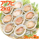 送料無料 あわび アワビ 鮑 Lサイズ 2kg 合計24個 1箱12個入り 殻つきお刺身用アワビ 高級料亭でも使用する新鮮な殻付きあわび お造り バター焼き ス...