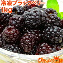 冷凍ブラックベリー 1kg 500g×2パック 無添加 弾けるブラックベリーをたっぷりと 冷凍ブラックベリー 完熟ブラックベリー 冷凍フルーツ..