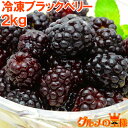 冷凍ブラックベリー 2kg 500g×4パック 無添加 弾けるブラックベリーをたっぷりと 冷凍ブラックベリー 完熟ブラックベリー 冷凍フルーツ 冷凍デザート 冷凍食品 業務用 ヨナナス スムージー レシピ