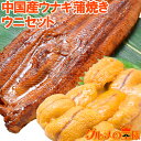 うにうなぎセット ＜梅＞ 超特大！うなぎ蒲焼き 平均330g前後×2尾 生ウニ 100g タレ付き 柔らかうなぎと生ウニの贅沢セット うなぎ ウ..