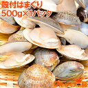 送料無料 はまぐり ハマグリ 500g 無添加ボイルハマグリ 鮮度が活きたはまぐりは旨い 潮汁 はまぐり ハマグリ 蛤 焼きハマグリ お吸い物 澄まし汁 酒蒸し...