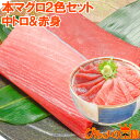 送料無料 本マグロ 中トロ 200g ＆ 本マグロ 赤身 200g...