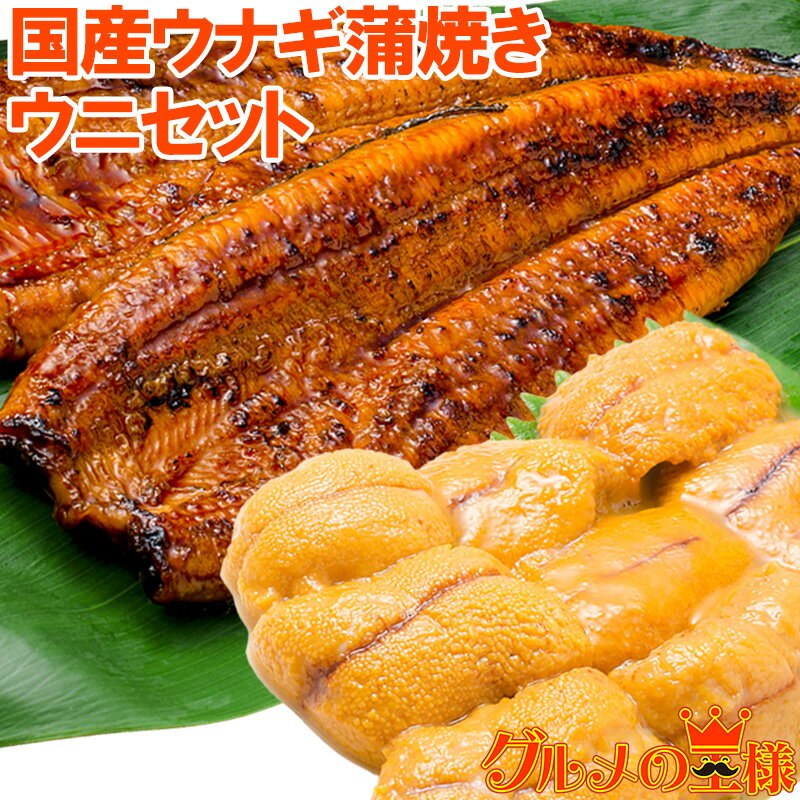うにうなぎセット <竹> 特大国産うなぎ蒲焼き 平均165g前後×2尾 生ウニ 100g タレ付き 柔らかうなぎと生ウニの贅沢セット うなぎ ウナギ 鰻 うな丼...