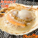 送料無料 ホタテ ほたて 特大 片貝ほたて 10枚入り 10〜11cmの特大サイズ！北海道産のほたて貝 殻付きほたて 帆立 貝 バター焼き 浜焼き バーベキュー BBQ 業務用 築地市場 豊洲市場 ギフト