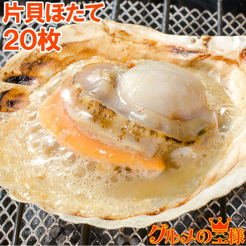 送料無料 ホタテ ほたて 特大 片貝ほたて 20枚 10枚×2袋 10〜11cmの特大サイズ！北海道産のほたて貝 殻付きほたて 帆立 貝 バター焼き 浜焼き バーベキュー BBQ 業務用 築地市場 豊洲市場 ギフト