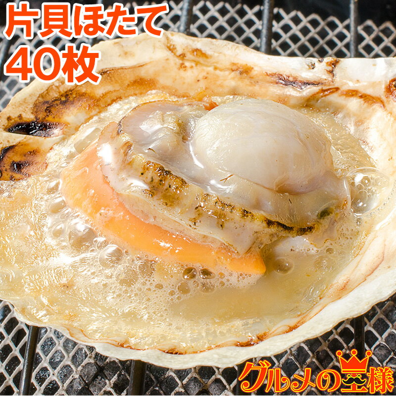 送料無料 ホタテ ほたて 特大 片貝ほたて 40枚 10枚×4袋 10〜11cmの特大サイズ！北海道産のほたて貝【殻付きほたて 帆立 貝 バター焼き 浜焼き バーベキュー BBQ 業務用 築地市場 豊洲市場 ギフト】【smtb-T】r