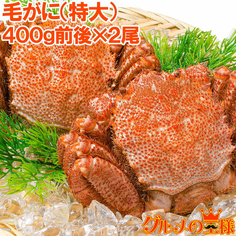 送料無料 毛蟹 毛がに 毛ガニ 浜茹で毛がに姿 平均400g前後×2尾 ボイル 冷凍 かに カニ 蟹 築地市場 豊洲市場 レシピ おせち 単品おせち ギフト