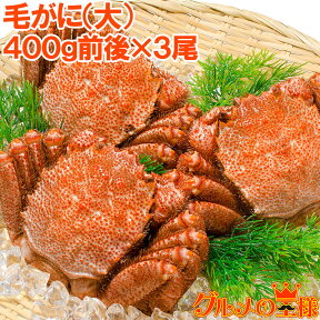 送料無料 毛蟹 毛がに 毛ガニ 浜茹で毛がに姿 400g前後×3尾 ボイル 冷凍 かに カニ 蟹 築地 レシピ おせち 単品おせち ギフト